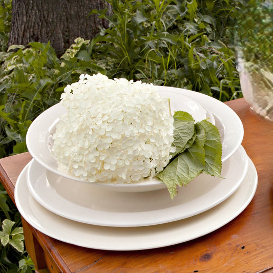 Serving plates and bowls